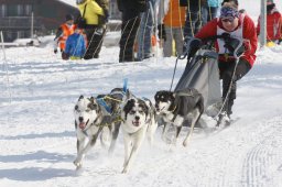 Lenk 2012 SM